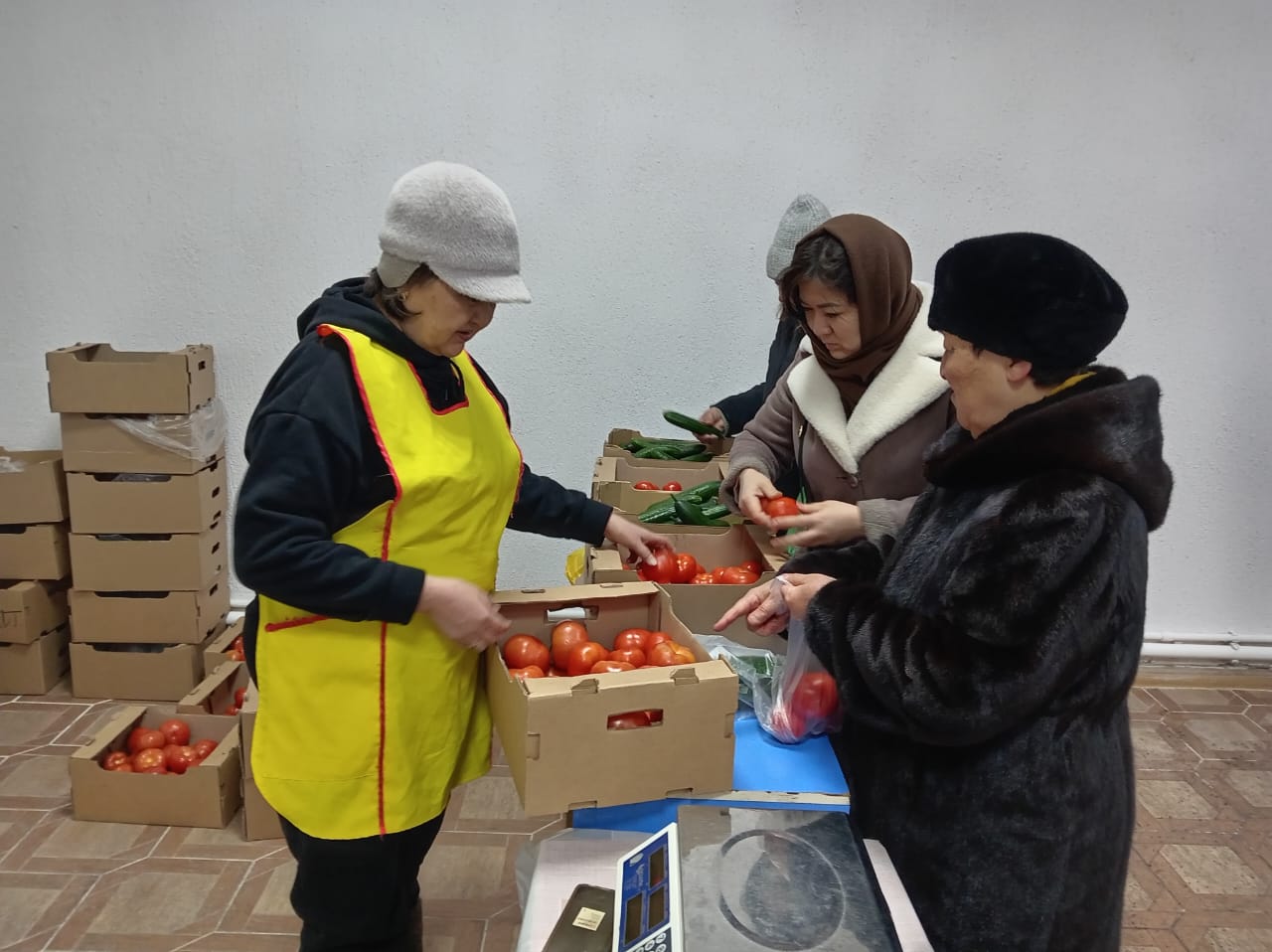 ШІРІК КАРТОП, ҚЫМБАТ КӨКӨНІС